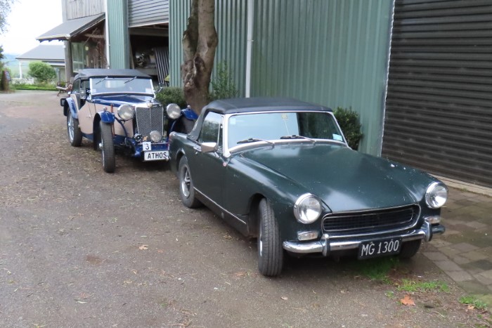 Name:  225_0615_01 MG.JPG
Views: 93
Size:  102.6 KB