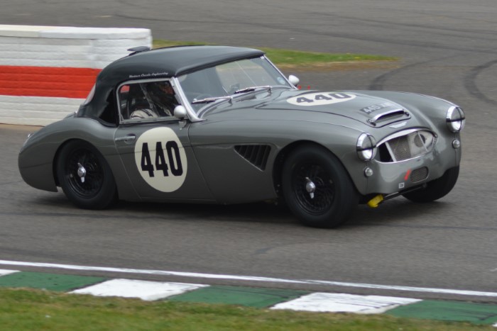 Name:  225_0413_963 Austin Healey.JPG
Views: 29
Size:  103.2 KB