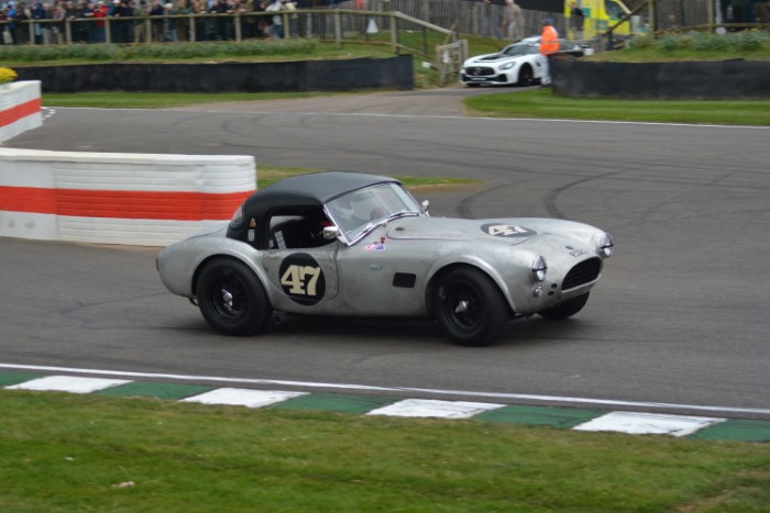 Name:  225_0413_972 AC Cobra.JPG
Views: 17
Size:  123.8 KB