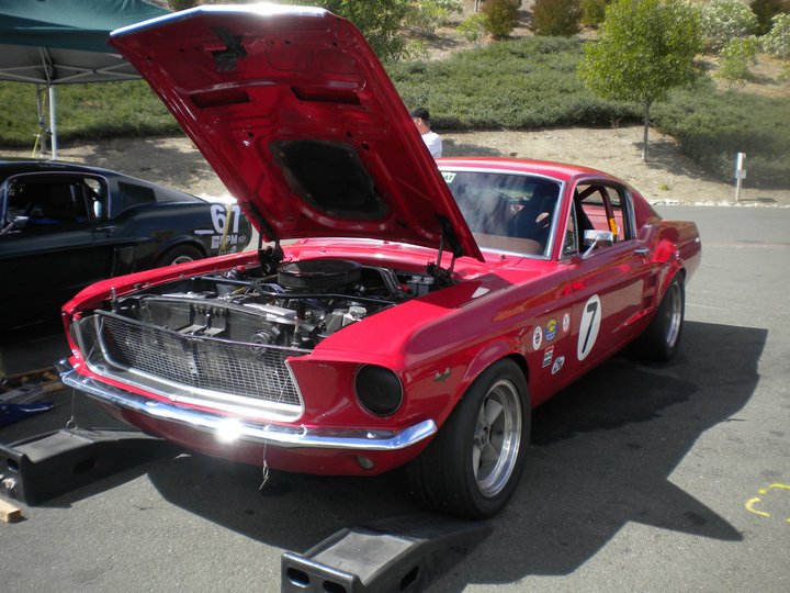 Name:  59158_152907618069047_100000494285108_402148_5969390_n.jpg
Views: 2084
Size:  95.0 KB