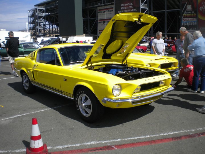 Name:  58263_152907474735728_100000494285108_402136_1855396_n.jpg
Views: 1861
Size:  92.7 KB