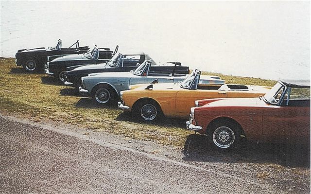 Name:  tiger line up.JPG
Views: 5368
Size:  65.1 KB