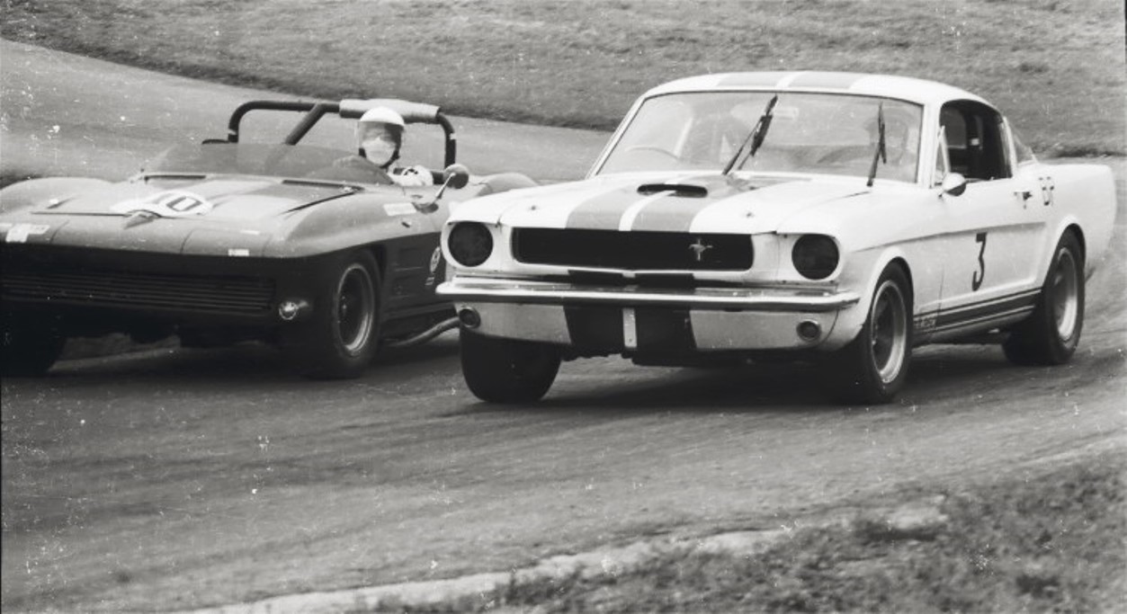 Name:  SHELBY GT 350 and STINGRAY 9 (1).jpg
Views: 1955
Size:  153.8 KB