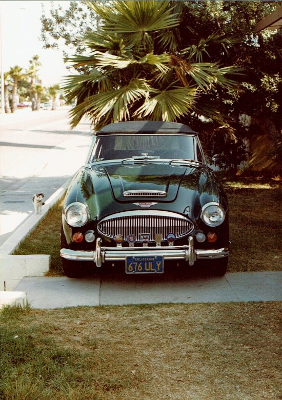 Name:  Healey trip 1982 #117 Hans Nohr Healey 23;07;82 CCI20062016_0004 (550x780).jpg
Views: 1139
Size:  181.2 KB