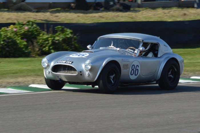 Name:  221_0918_0715 AC Cobra.JPG
Views: 620
Size:  112.3 KB