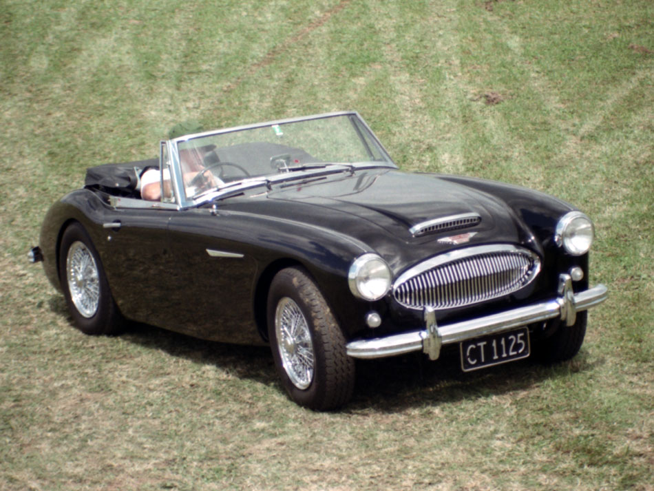 Name:  189_0304_004 Healey.jpg
Views: 3266
Size:  172.8 KB